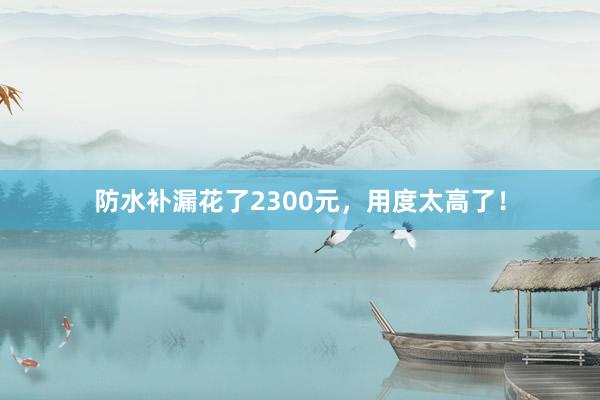 防水补漏花了2300元，用度太高了！