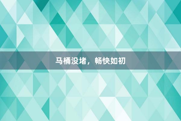 马桶没堵，畅快如初