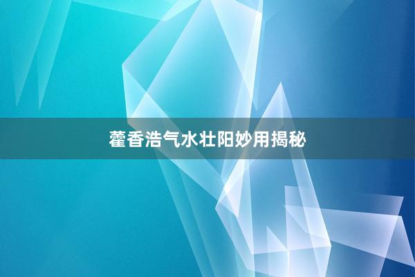 藿香浩气水壮阳妙用揭秘