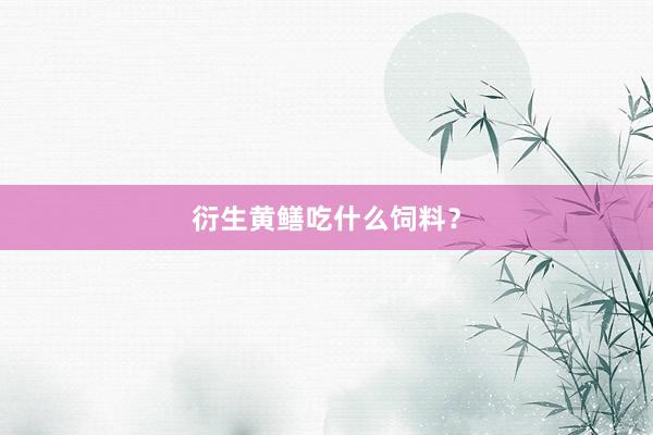 衍生黄鳝吃什么饲料？