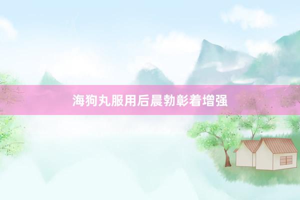 海狗丸服用后晨勃彰着增强