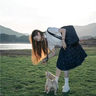 战地莺花
